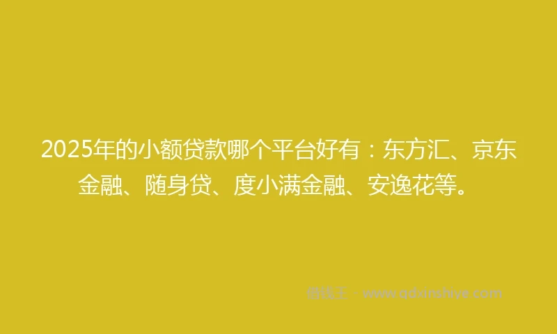 2025年的小额贷款哪个平台好有:东方汇、京东金融、随身贷、度小满金融、安逸花等。