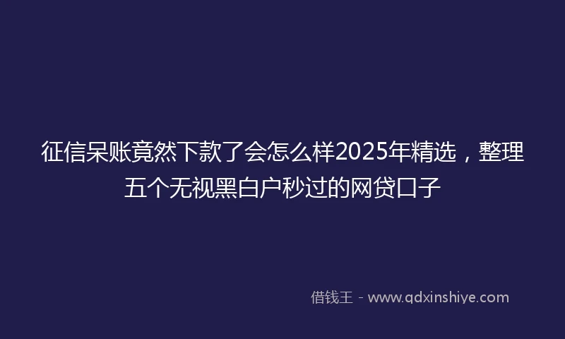 征信呆账竟然下款了会怎么样2025年精选，整理五个无视黑白户秒过的网贷口子