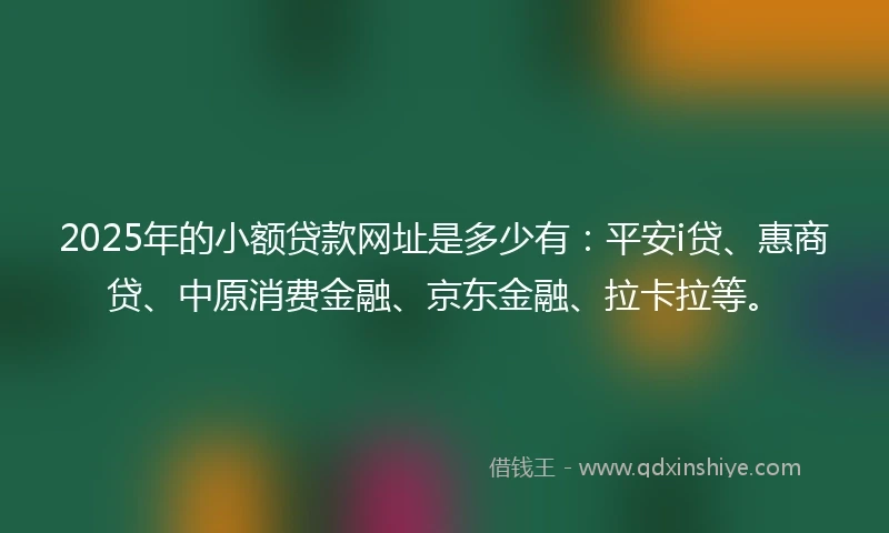 2025年的小额贷款网址是多少有：平安i贷、惠商贷、中原消费金融、京东金融、拉卡拉等。