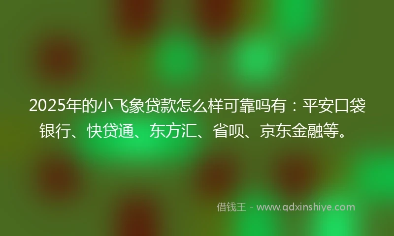 2025年的小飞象贷款怎么样可靠吗有：平安口袋银行、快贷通、东方汇、省呗、京东金融等。