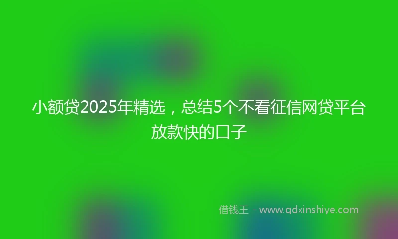 小额贷2025年精选，总结5个不看征信网贷平台放款快的口子