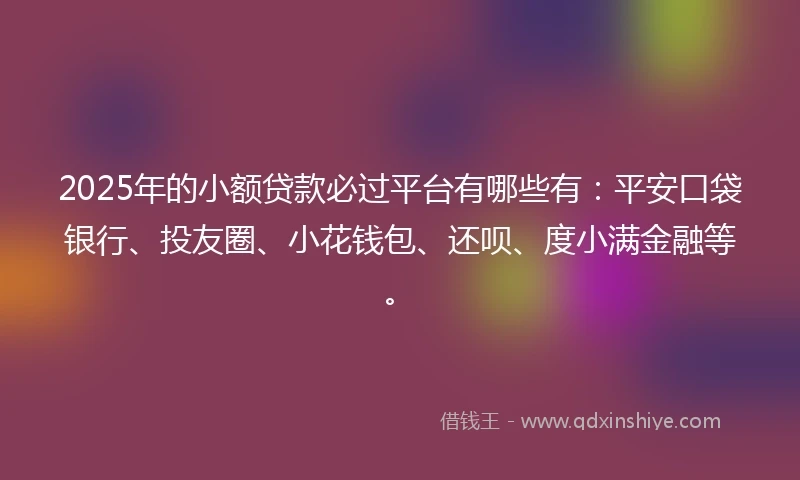 2025年的小额贷款必过平台有哪些有：平安口袋银行、投友圈、小花钱包、还呗、度小满金融等。