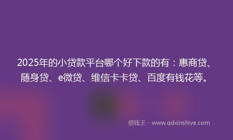 2025年的小贷款平台哪个好下款的有：惠商贷、随身贷、e微贷、维信卡卡贷、百度有钱花等。