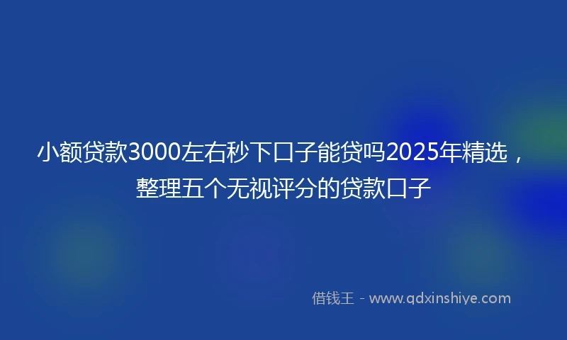 小额贷款3000左右秒下口子能贷吗2025年精选，整理五个无视评分的贷款口子