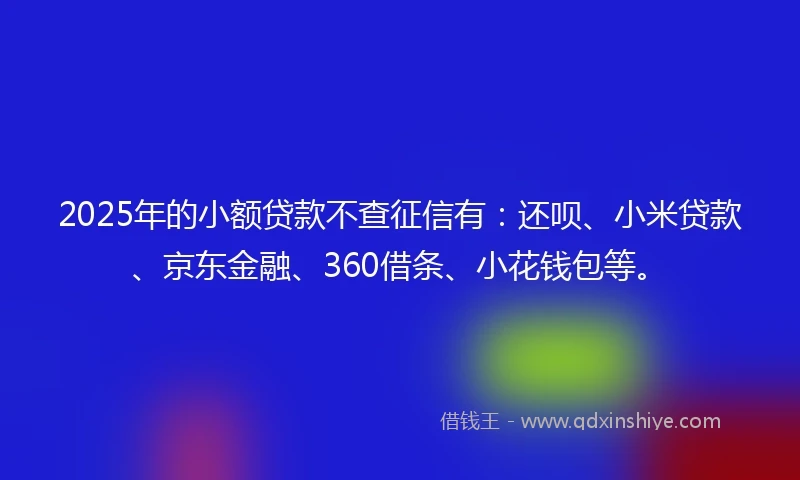 2025年的小额贷款不查征信有：还呗、小米贷款、京东金融、360借条、小花钱包等。