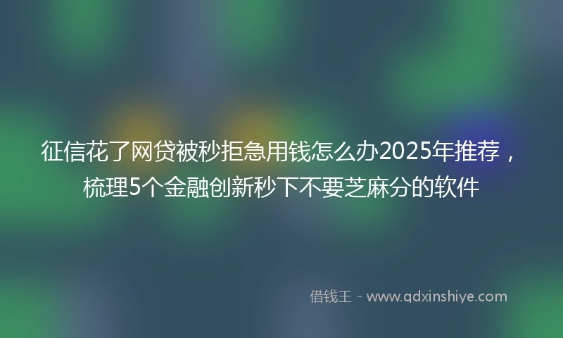 征信花了网贷被秒拒急用钱怎么办2025年推荐,梳理5个金融创新秒下不要芝麻分的软件