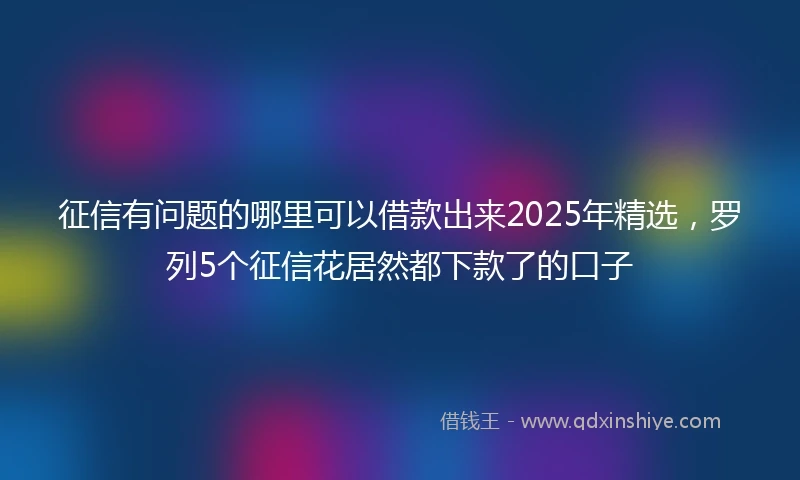 征信有问题的哪里可以借款出来2025年精选，罗列5个征信花居然都下款了的口子