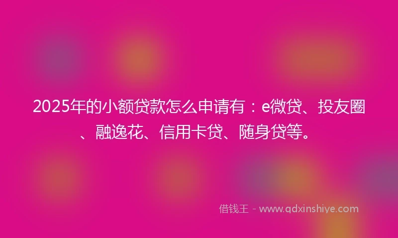 2025年的小额贷款怎么申请有：e微贷、投友圈、融逸花、信用卡贷、随身贷等。