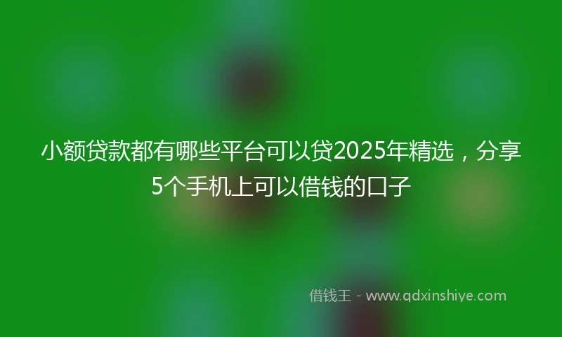 小额贷款都有哪些平台可以贷2025年精选，分享5个手机上可以借钱的口子