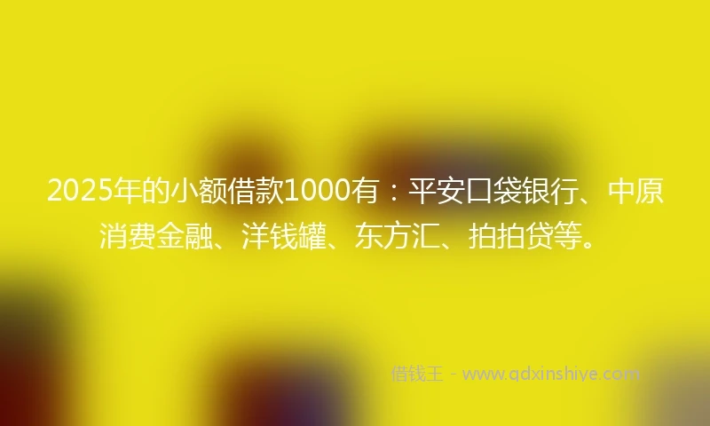 2025年的小额借款1000有：平安口袋银行、中原消费金融、洋钱罐、东方汇、拍拍贷等。
