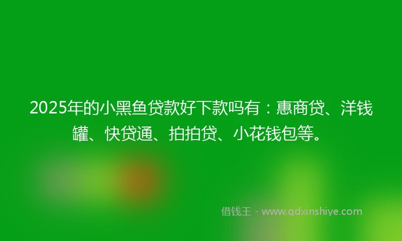 2025年的小黑鱼贷款好下款吗有：惠商贷、洋钱罐、快贷通、拍拍贷、小花钱包等。