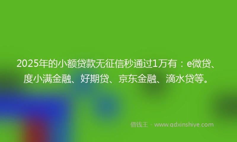 2025年的小额贷款无征信秒通过1万有：e微贷、度小满金融、好期贷、京东金融、滴水贷等。