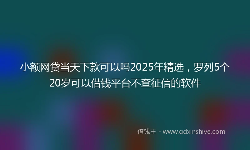 小额网贷当天下款可以吗2025年精选，罗列5个20岁可以借钱平台不查征信的软件