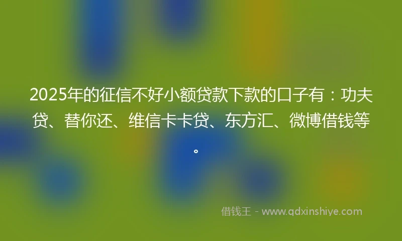 2025年的征信不好小额贷款下款的口子有：功夫贷、替你还、维信卡卡贷、东方汇、微博借钱等。