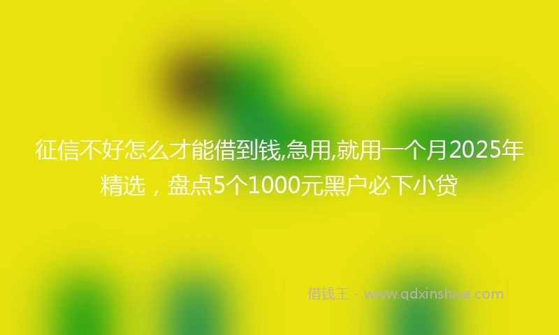 征信不好怎么才能借到钱,急用,就用一个月2025年精选，盘点5个1000元黑户必下小贷