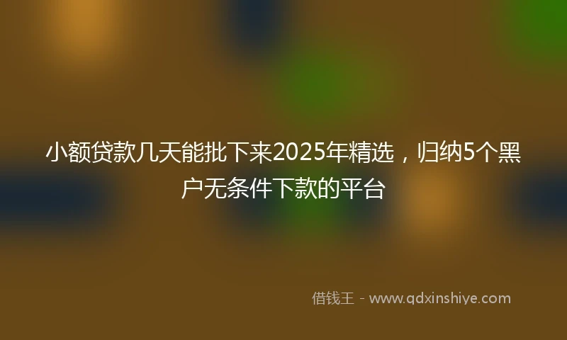 小额贷款几天能批下来2025年精选，归纳5个黑户无条件下款的平台