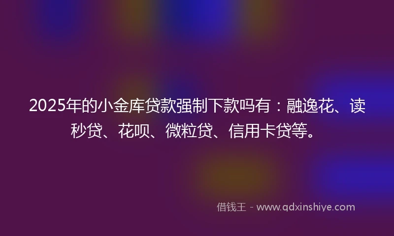 2025年的小金库贷款强制下款吗有：融逸花、读秒贷、花呗、微粒贷、信用卡贷等。