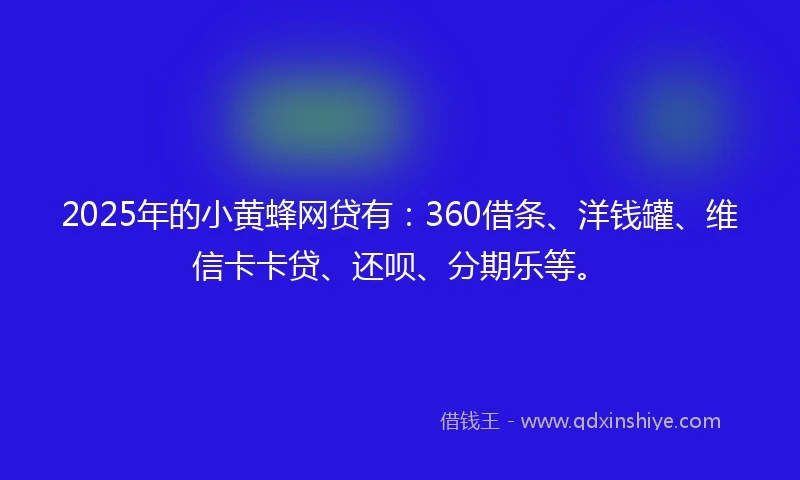 2025年的小黄蜂网贷有：360借条、洋钱罐、维信卡卡贷、还呗、分期乐等。
