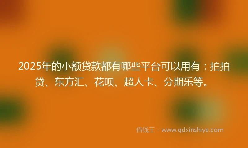2025年的小额贷款都有哪些平台可以用有：拍拍贷、东方汇、花呗、超人卡、分期乐等。