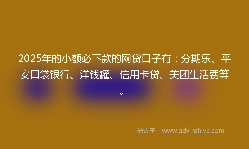 2025年的小额必下款的网贷口子有：分期乐、平安口袋银行、洋钱罐、信用卡贷、美团生活费等。