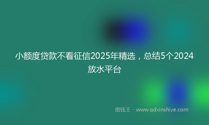小额度贷款不看征信2025年精选，总结5个2024放水平台