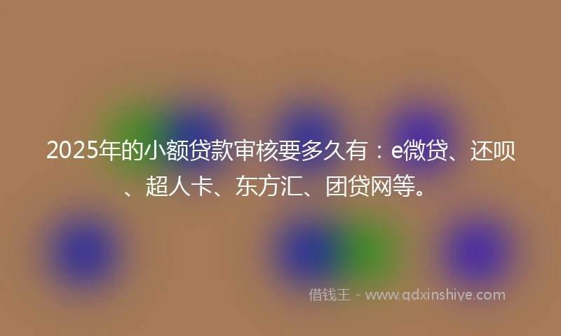 2025年的小额贷款审核要多久有：e微贷、还呗、超人卡、东方汇、团贷网等。