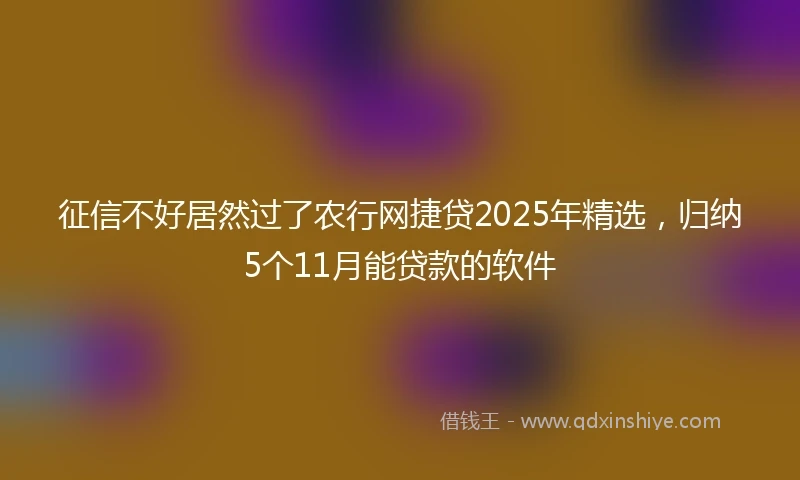 征信不好居然过了农行网捷贷2025年精选，归纳5个11月能贷款的软件