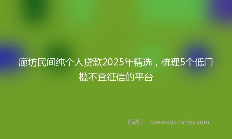 廊坊民间纯个人贷款2025年精选，梳理5个低门槛不查征信的平台