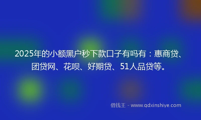 2025年的小额黑户秒下款口子有吗有：惠商贷、团贷网、花呗、好期贷、51人品贷等。