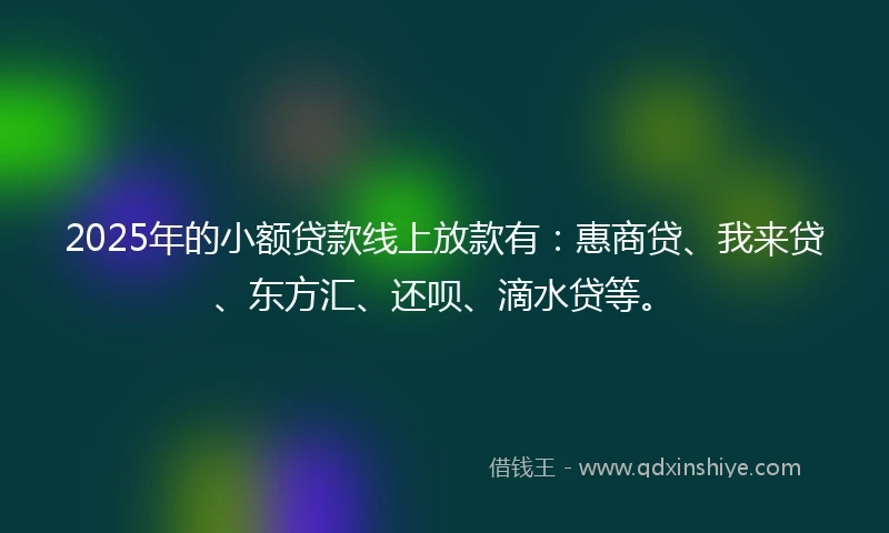 2025年的小额贷款线上放款有：惠商贷、我来贷、东方汇、还呗、滴水贷等。