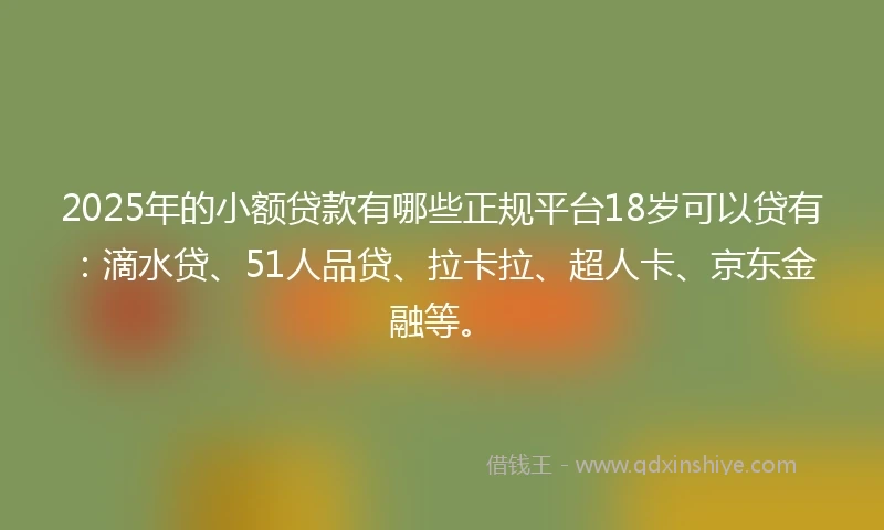 2025年的小额贷款有哪些正规平台18岁可以贷有：滴水贷、51人品贷、拉卡拉、超人卡、京东金融等。