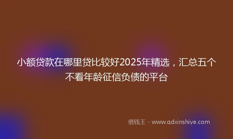 小额贷款在哪里贷比较好2025年精选，汇总五个不看年龄征信负债的平台