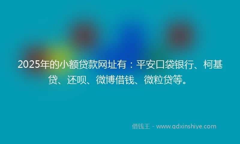 2025年的小额贷款网址有：平安口袋银行、柯基贷、还呗、微博借钱、微粒贷等。