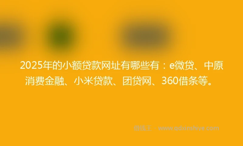 2025年的小额贷款网址有哪些有：e微贷、中原消费金融、小米贷款、团贷网、360借条等。