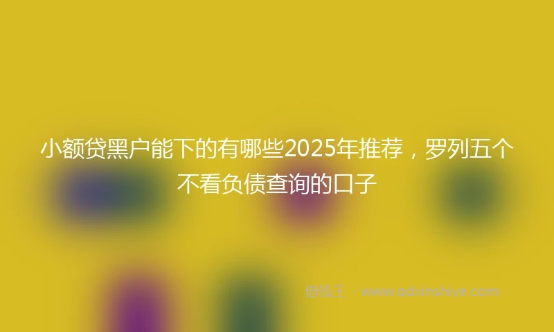 小额贷黑户能下的有哪些2025年推荐,罗列五个不看负债查询的口子