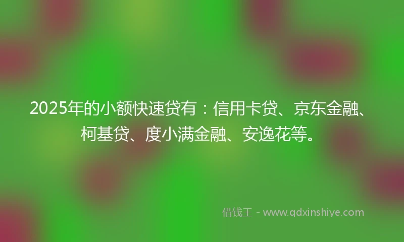 2025年的小额快速贷有：信用卡贷、京东金融、柯基贷、度小满金融、安逸花等。
