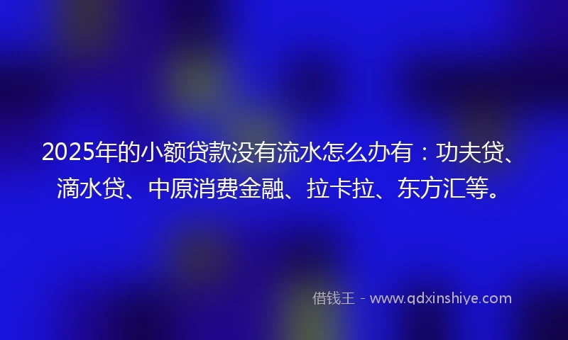 2025年的小额贷款没有流水怎么办有：功夫贷、滴水贷、中原消费金融、拉卡拉、东方汇等。