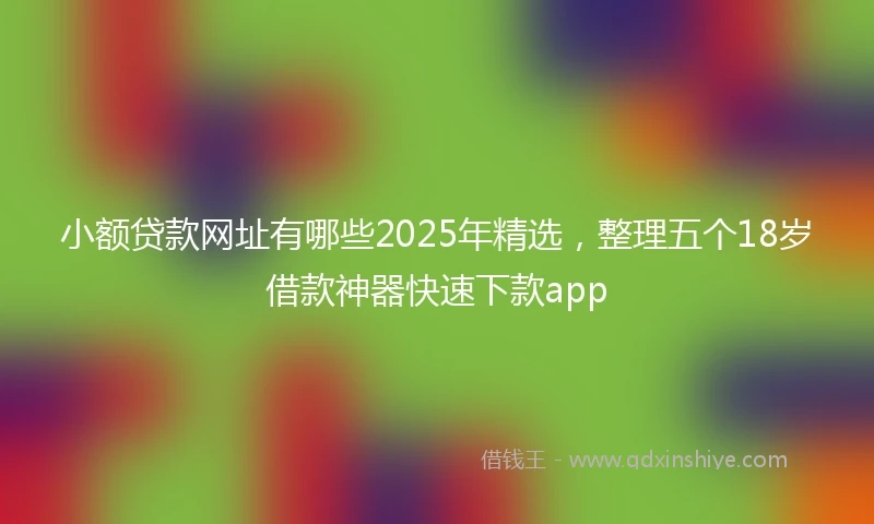 小额贷款网址有哪些2025年精选，整理五个18岁借款神器快速下款app