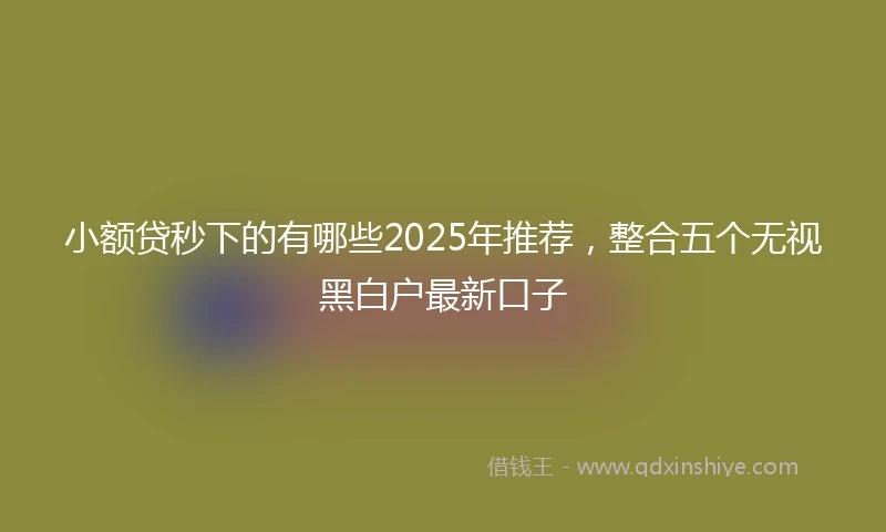 小额贷秒下的有哪些2025年推荐，整合五个无视黑白户最新口子