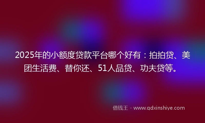 2025年的小额度贷款平台哪个好有：拍拍贷、美团生活费、替你还、51人品贷、功夫贷等。