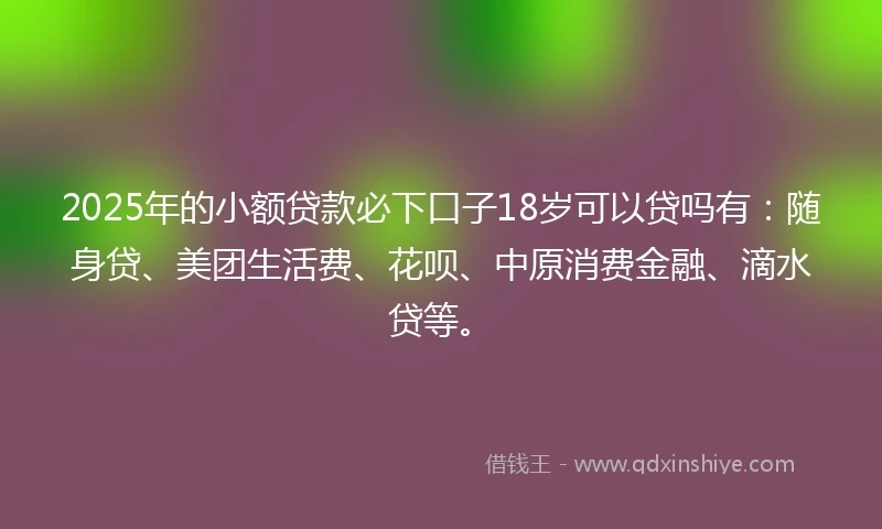 2025年的小额贷款必下口子18岁可以贷吗有：随身贷、美团生活费、花呗、中原消费金融、滴水贷等。