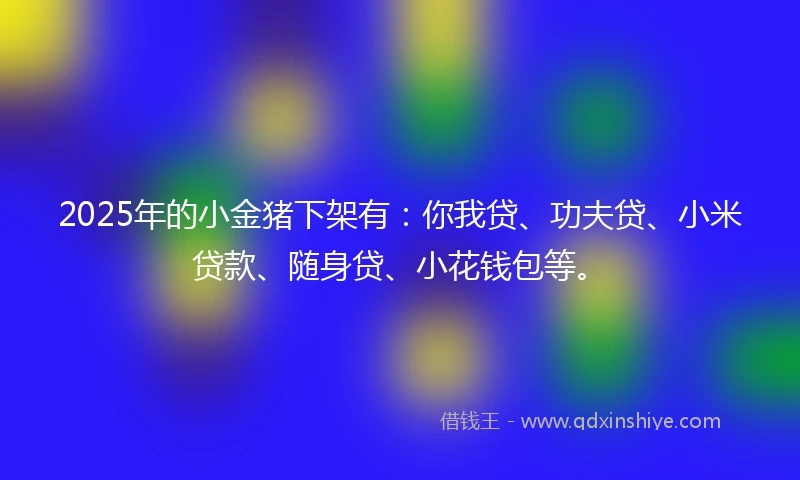 2025年的小金猪下架有：你我贷、功夫贷、小米贷款、随身贷、小花钱包等。
