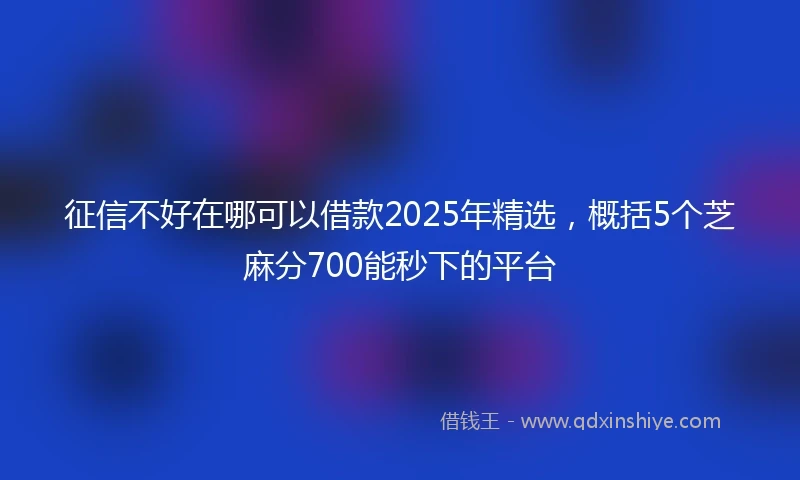 征信不好在哪可以借款2025年精选,概括5个芝麻分700能秒下的平台