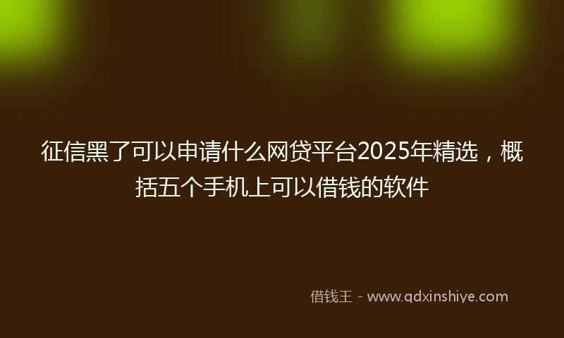 征信黑了可以申请什么网贷平台2025年精选，概括五个手机上可以借钱的软件