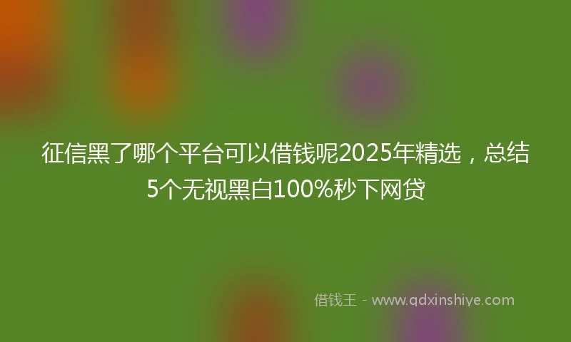 征信黑了哪个平台可以借钱呢2025年精选，总结5个无视黑白100%秒下网贷