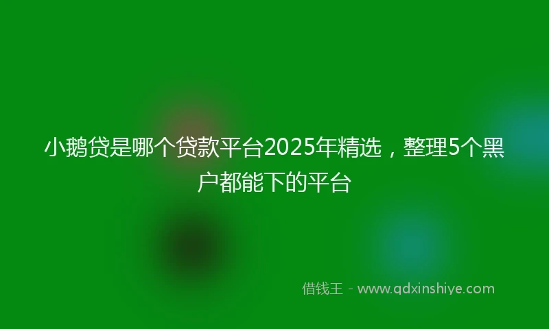 小鹅贷是哪个贷款平台2025年精选，整理5个黑户都能下的平台