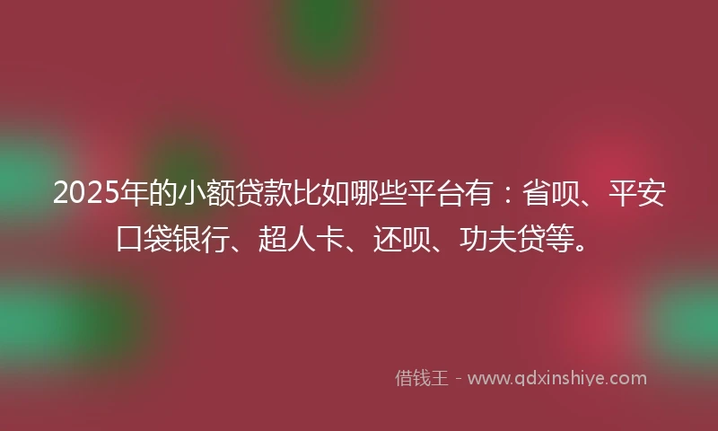 2025年的小额贷款比如哪些平台有：省呗、平安口袋银行、超人卡、还呗、功夫贷等。