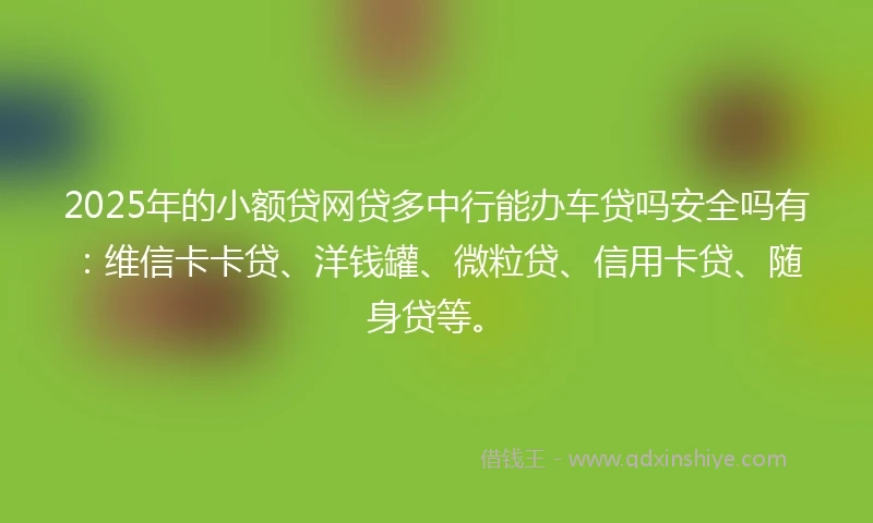 2025年的小额贷网贷多中行能办车贷吗安全吗有：维信卡卡贷、洋钱罐、微粒贷、信用卡贷、随身贷等。