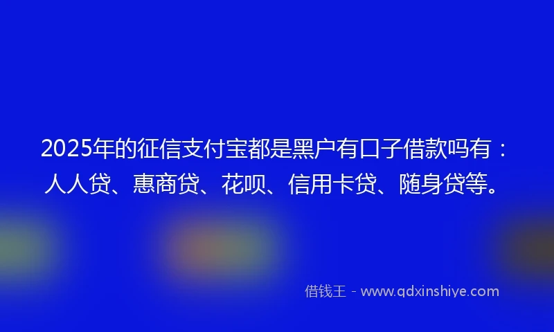 2025年的征信支付宝都是黑户有口子借款吗有:人人贷、惠商贷、花呗、信用卡贷、随身贷等。