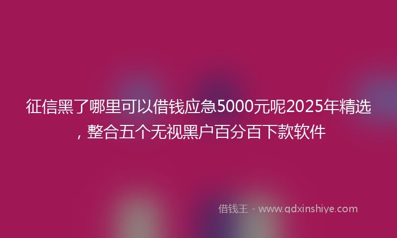 征信黑了哪里可以借钱应急5000元呢2025年精选，整合五个无视黑户百分百下款软件